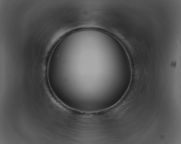 X0000093601416200710221538