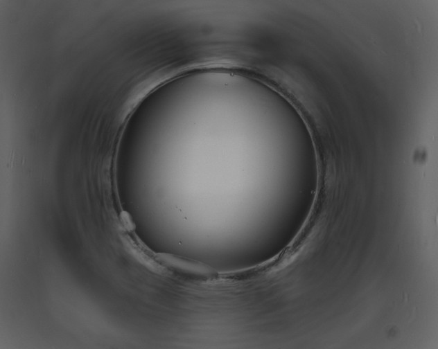 X0000093601417200710221538