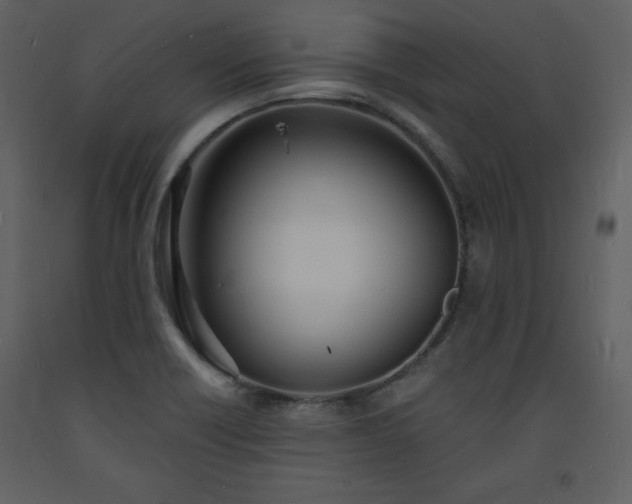 X0000093601418200710221538