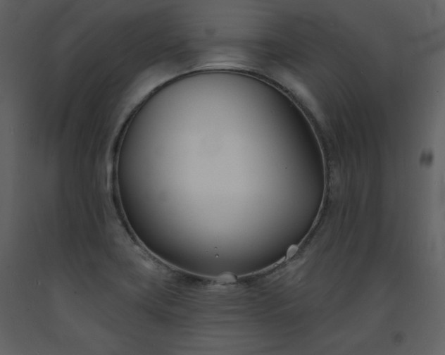 X0000093601419200710221538