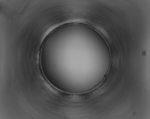 X0000093601420200710221538