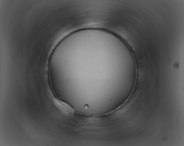 X0000093601421200710221538