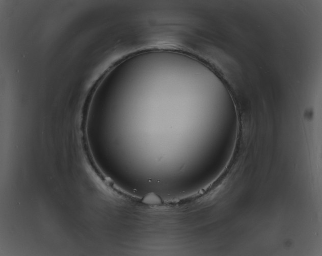 X0000093601422200710221538