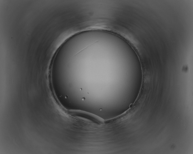 X0000093601423200710221538