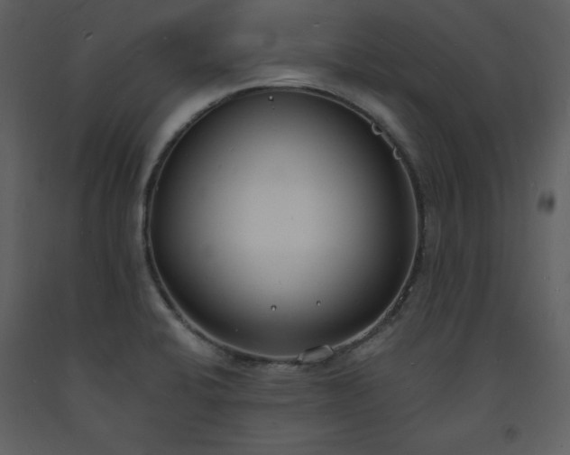 X0000093601424200710221538