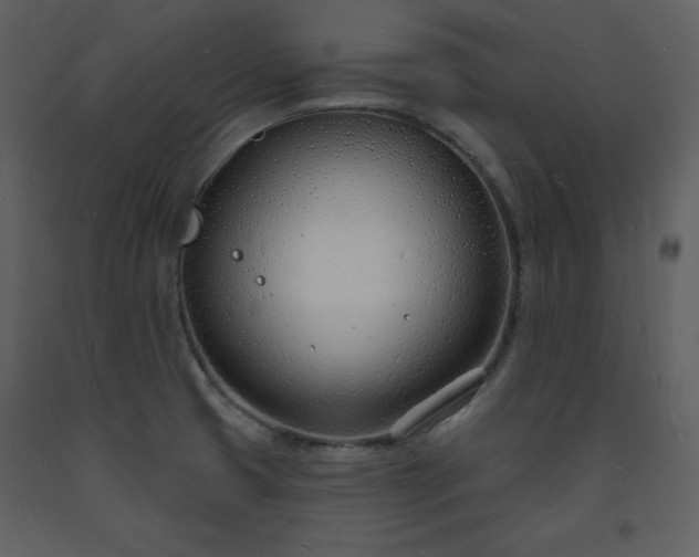 X0000093601425200710221538