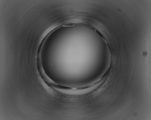 X0000093601426200710221538