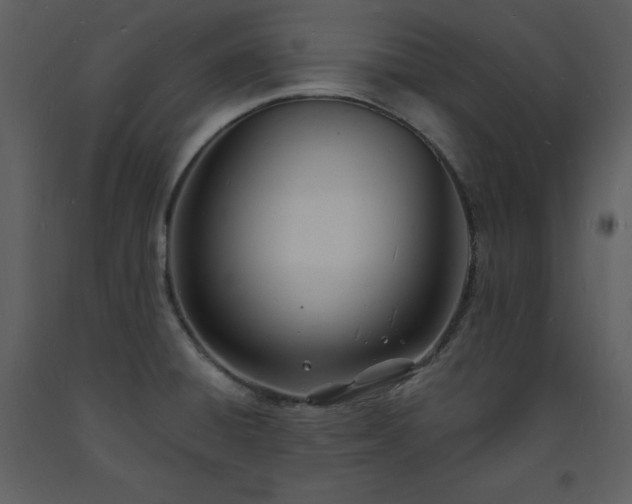 X0000093601428200710221538