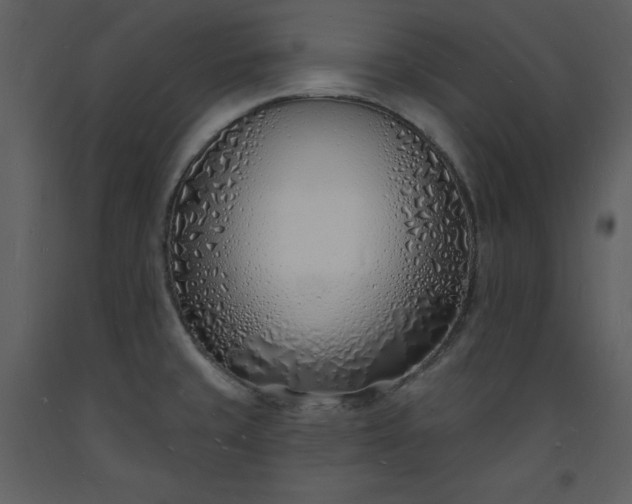 X0000093601429200710221538