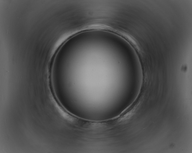 X0000093601430200710221538