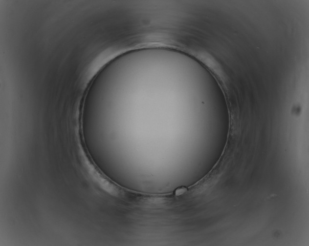 X0000093601431200710221538