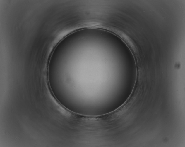 X0000093601432200710221538