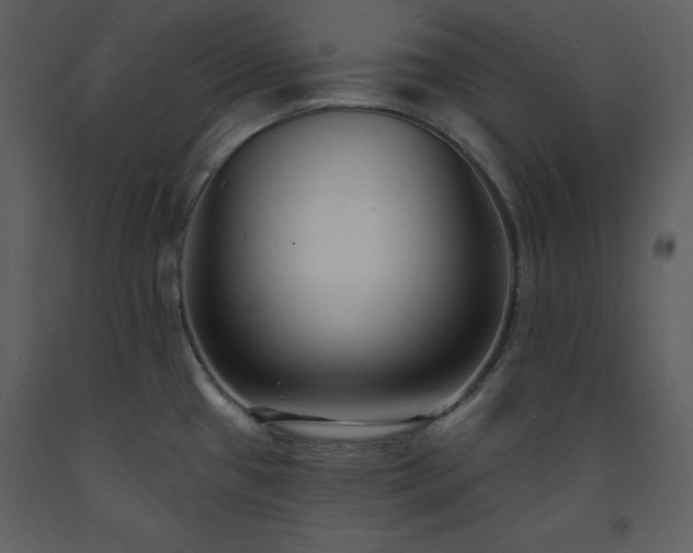 X0000093601433200710221538