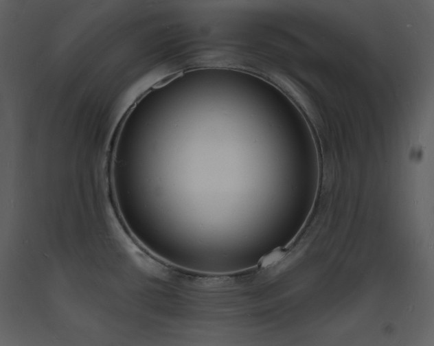 X0000093601434200710221539