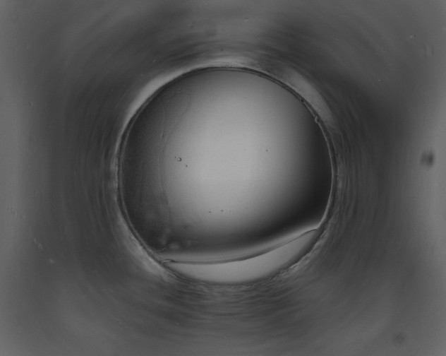 X0000093601436200710221539