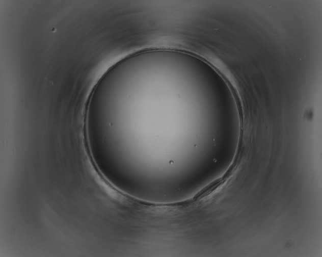 X0000093601437200710221539