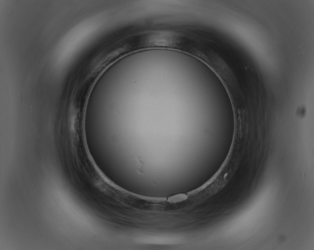 X0000093601438200710221539