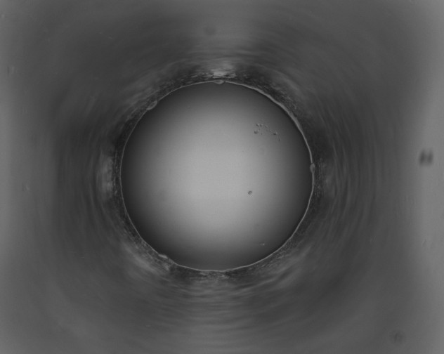 X0000093601442200710221538