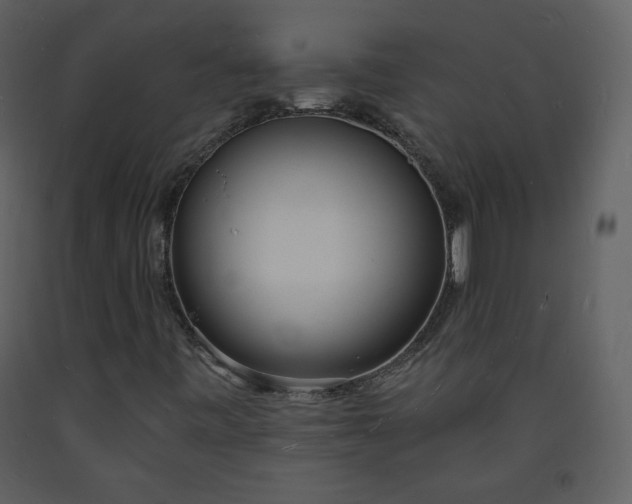 X0000093601443200710221538