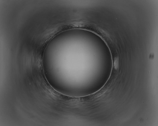 X0000093601444200710221538