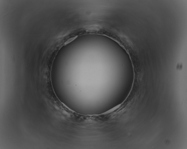 X0000093601445200710221538