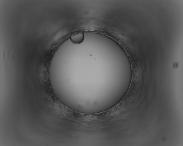 X0000093601446200710221538