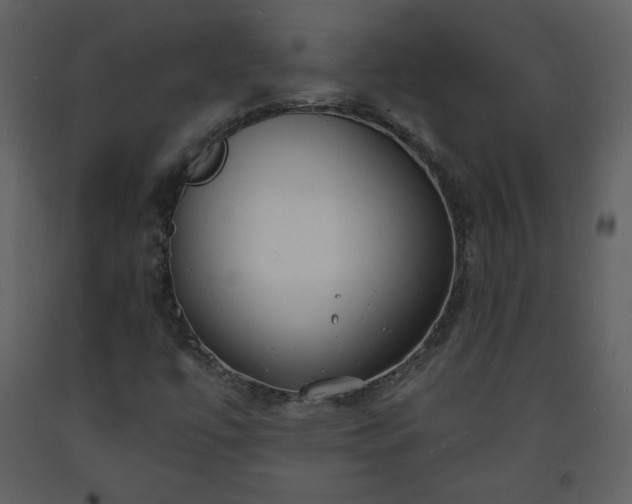 X0000093601447200710221538