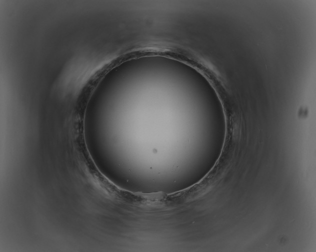 X0000093601448200710221538