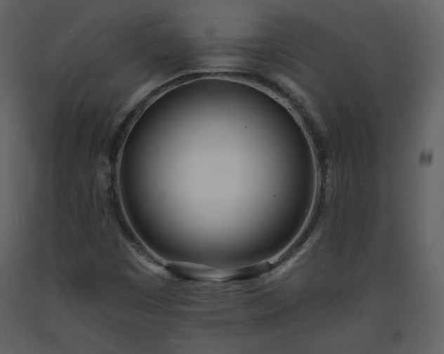 X0000093601449200710221538