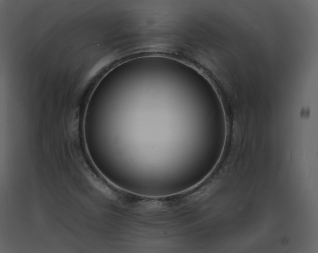 X0000093601450200710221538