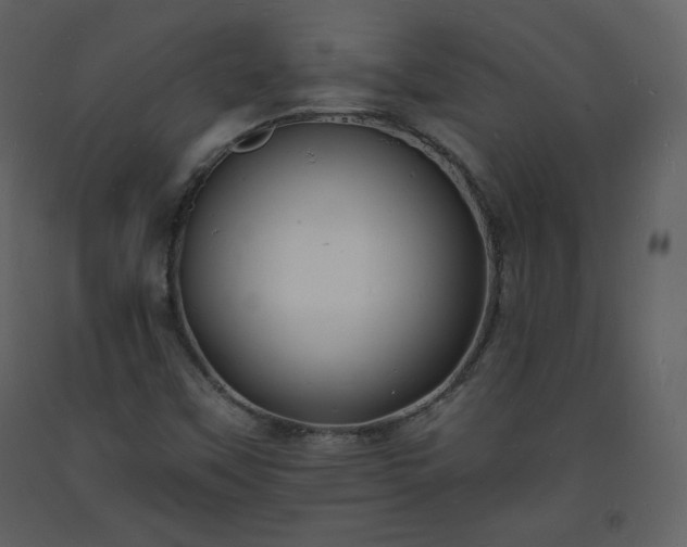 X0000093601451200710221538