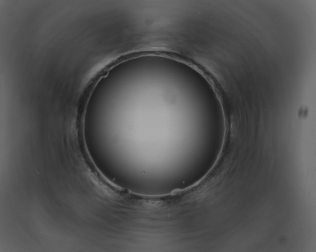 X0000093601452200710221538