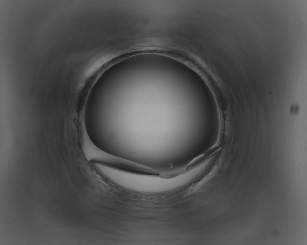 X0000093601453200710221538