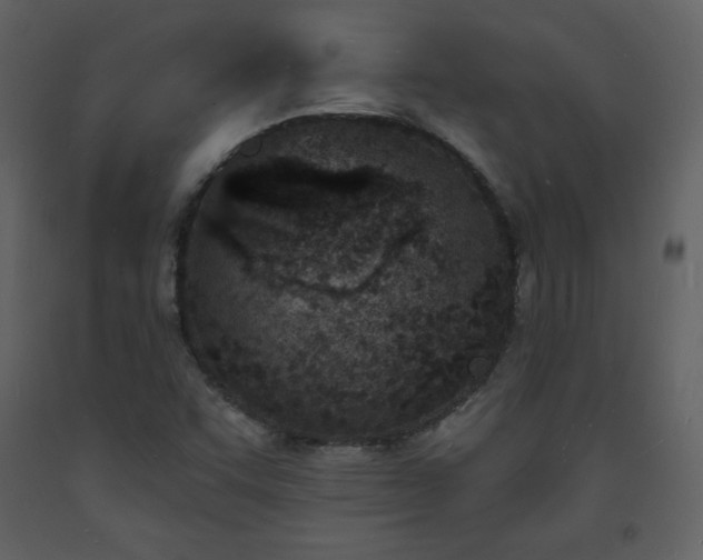 X0000093601455200710221538