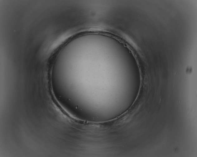 X0000093601456200710221538