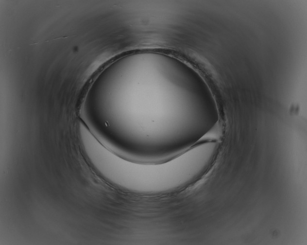 X0000093601457200710221538