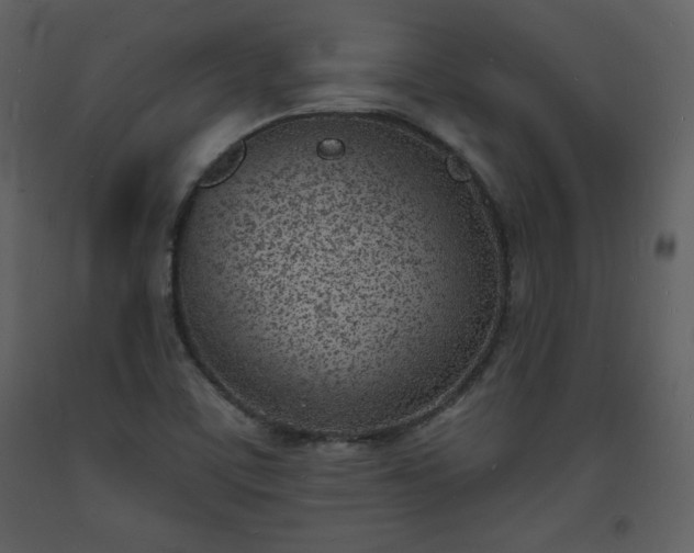 X0000093601459200710221538