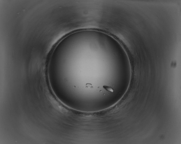 X0000093601460200710221538