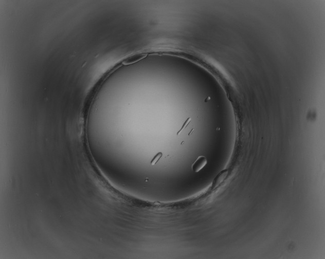 X0000093601461200710221538