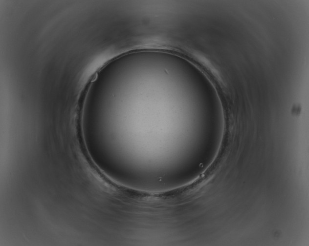 X0000093601463200710221538