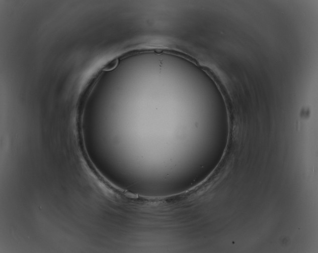 X0000093601464200710221538