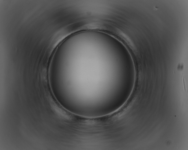 X0000093601465200710221538