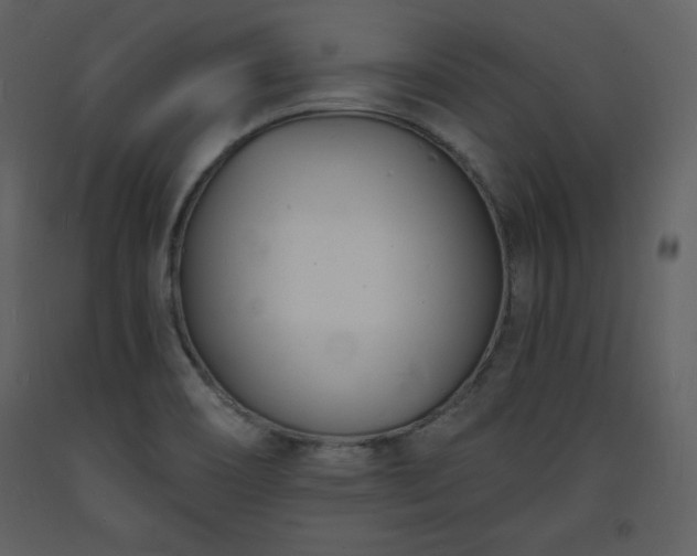 X0000093601466200710221537