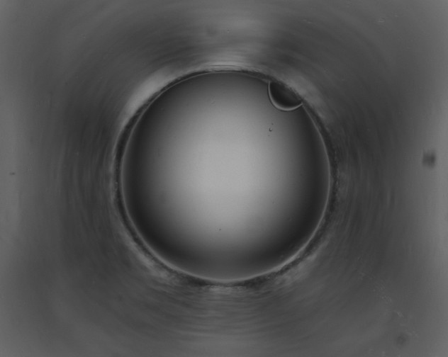 X0000093601469200710221537