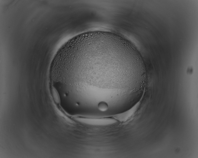 X0000093601471200710221537