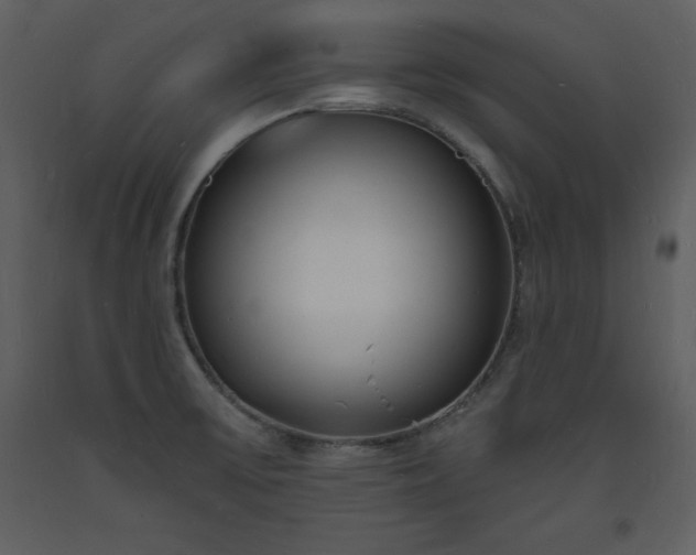 X0000093601475200710221537