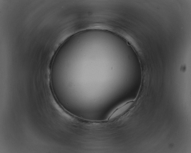 X0000093601476200710221537