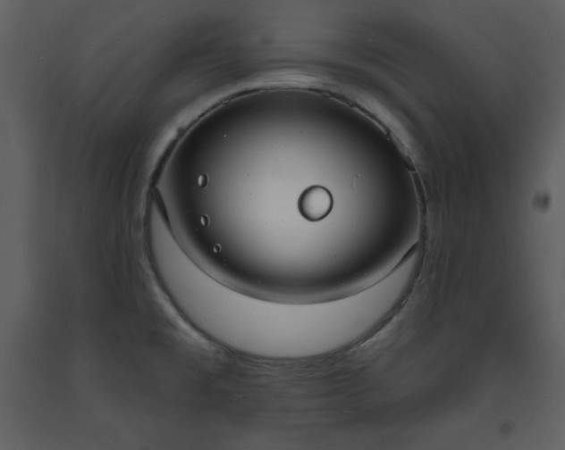 X0000093601477200710221537