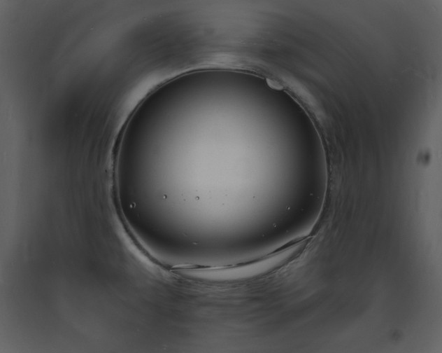 X0000093601479200710221537