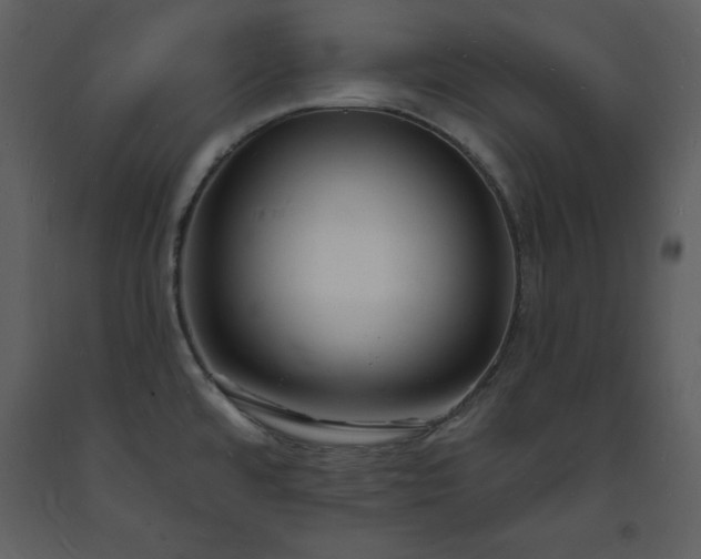 X0000093601480200710221537